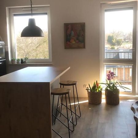 Apartament Goscinne Sady Malbork Esterno foto